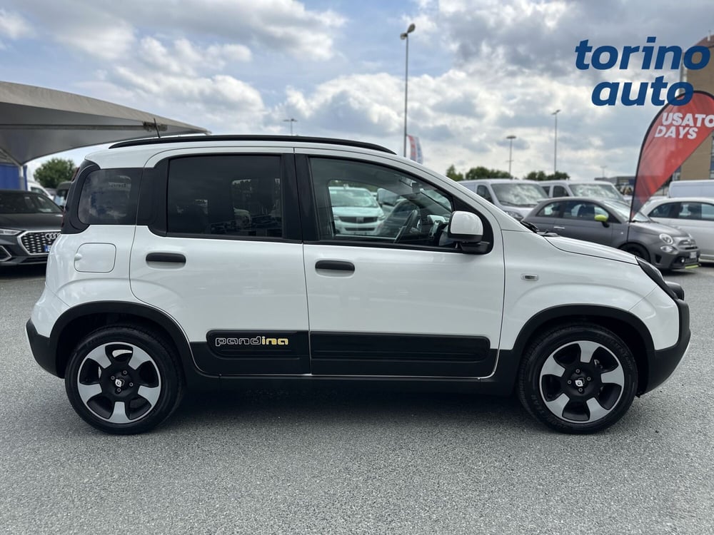 Fiat Panda Cross usata a Torino (8)