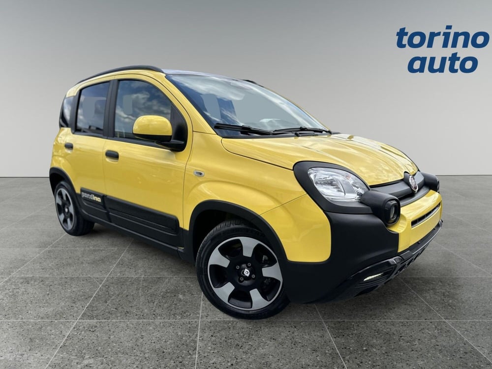 Fiat Panda Cross usata a Torino