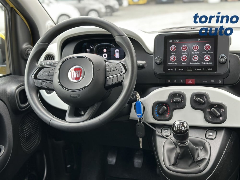 Fiat Panda Cross usata a Torino (14)