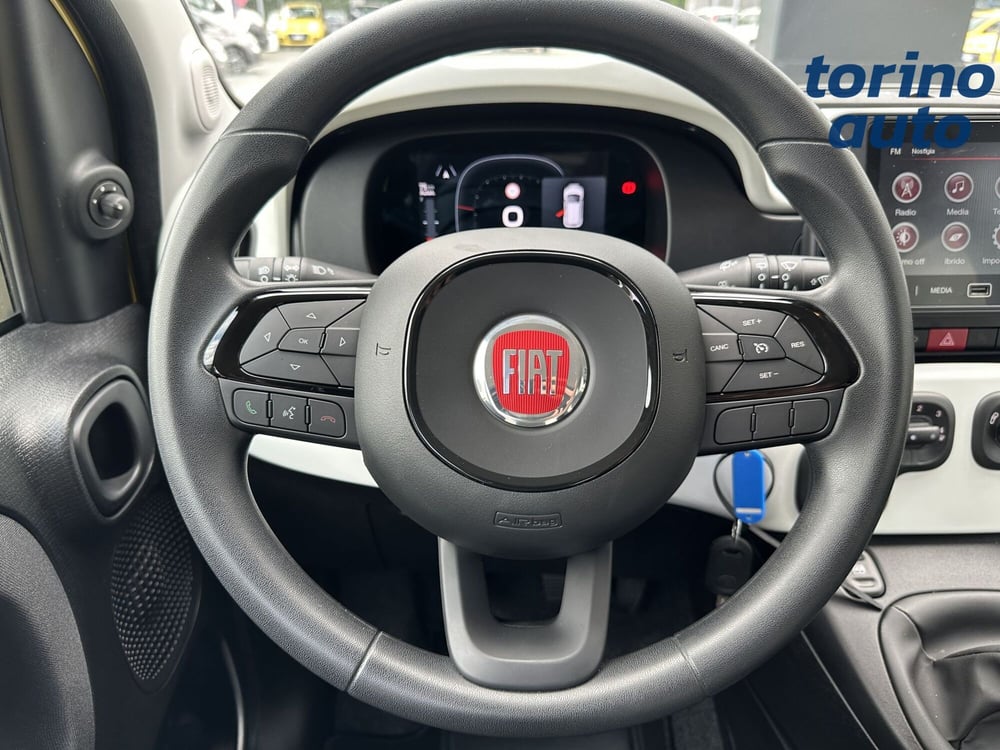 Fiat Panda Cross usata a Torino (15)