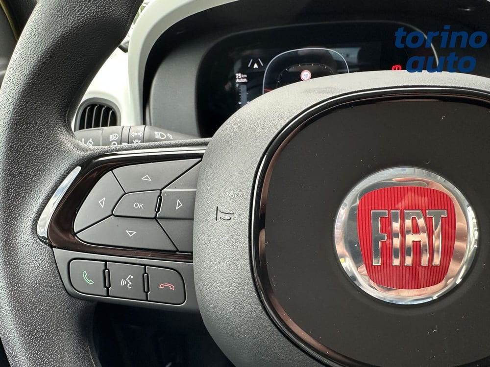 Fiat Panda Cross usata a Torino (16)