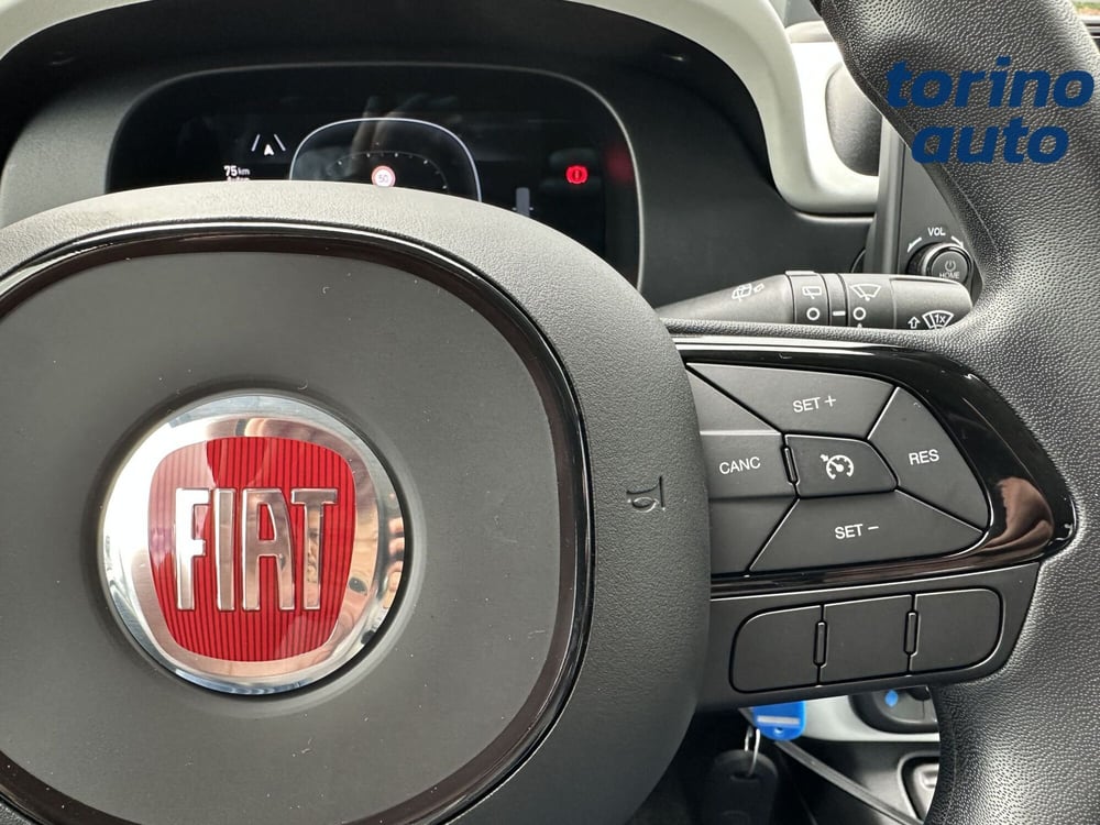 Fiat Panda Cross usata a Torino (17)