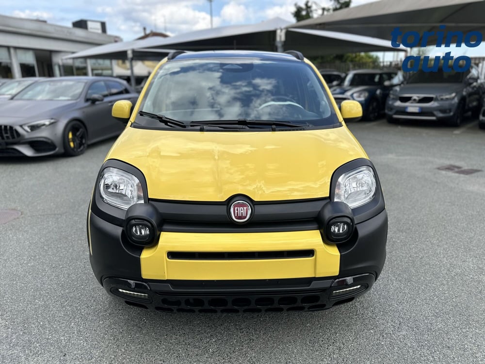Fiat Panda Cross usata a Torino (2)
