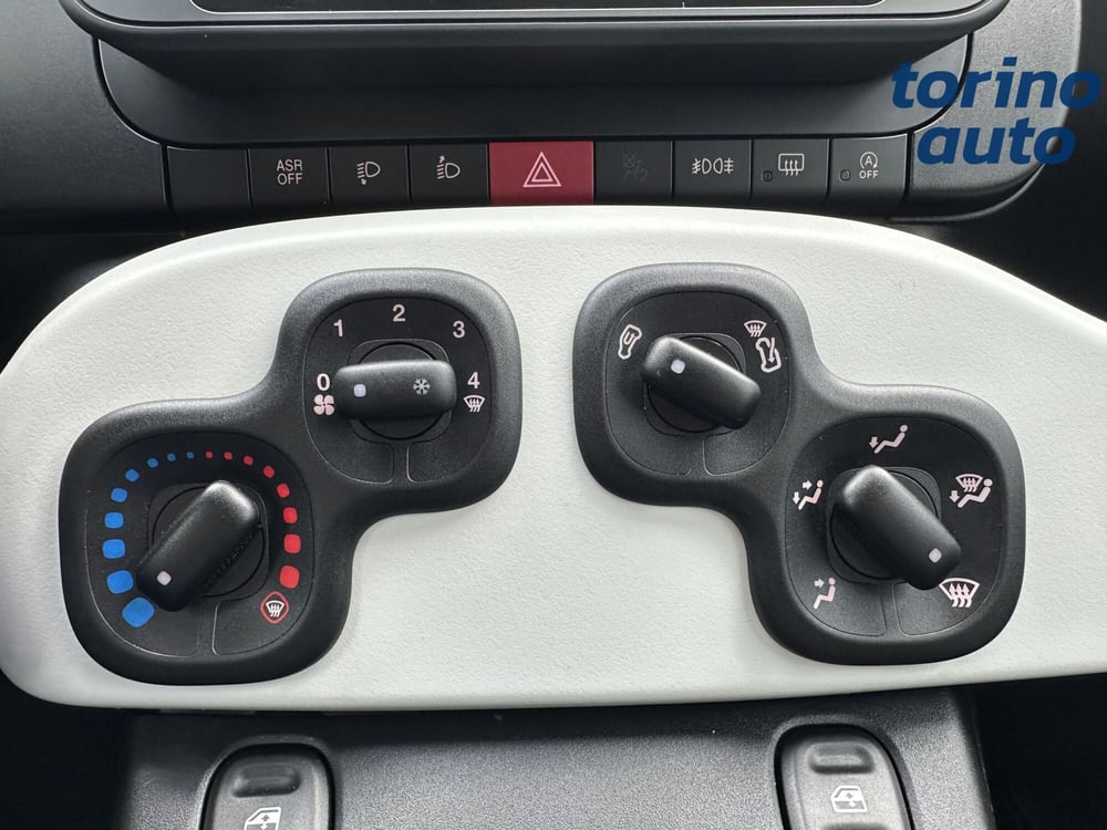 Fiat Panda Cross usata a Torino (20)