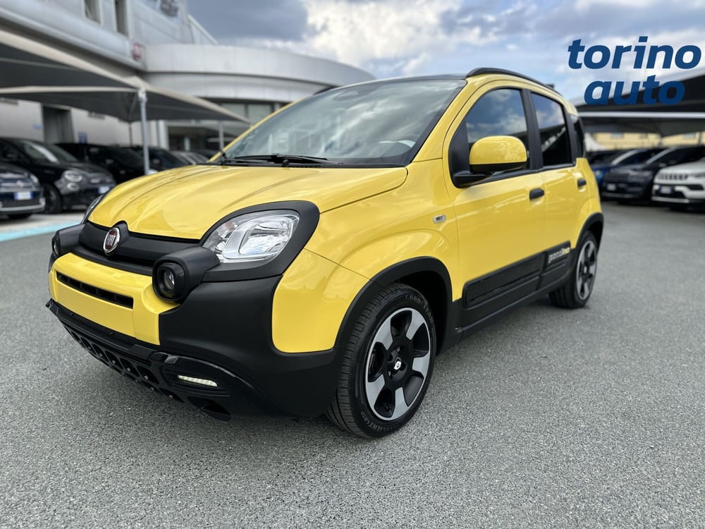 Fiat Panda Cross usata a Torino (3)