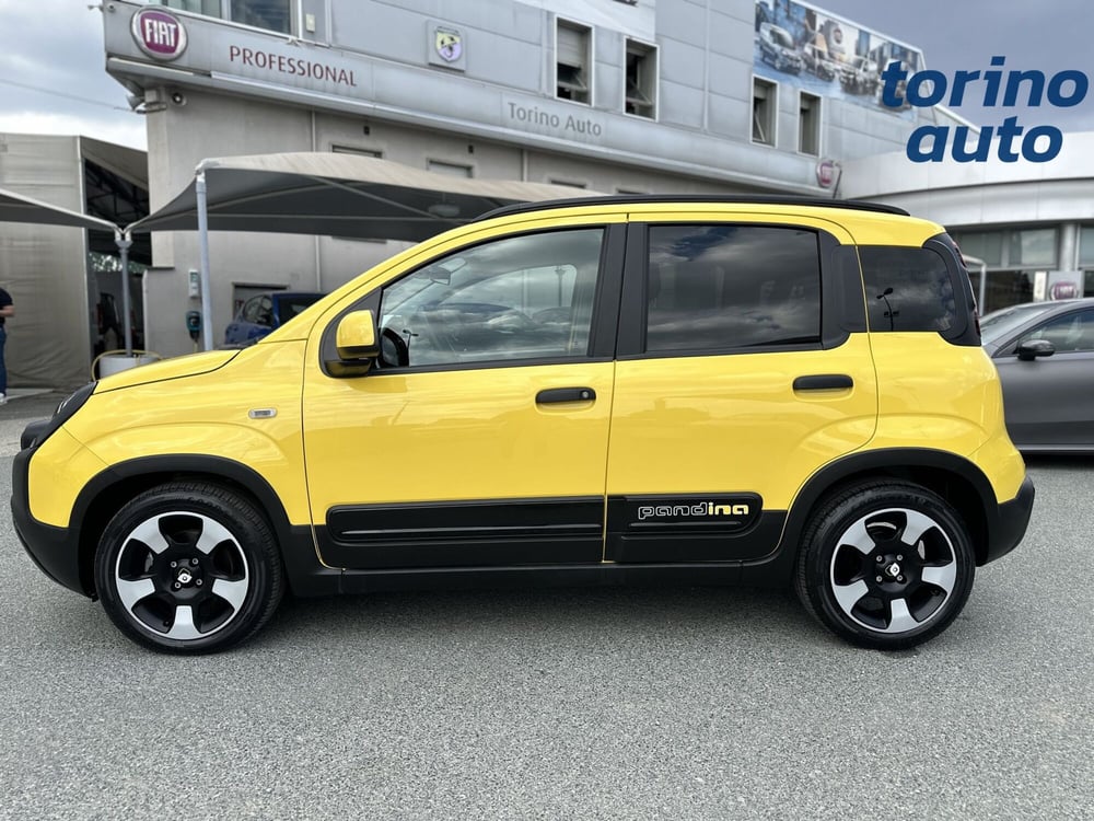 Fiat Panda Cross usata a Torino (4)