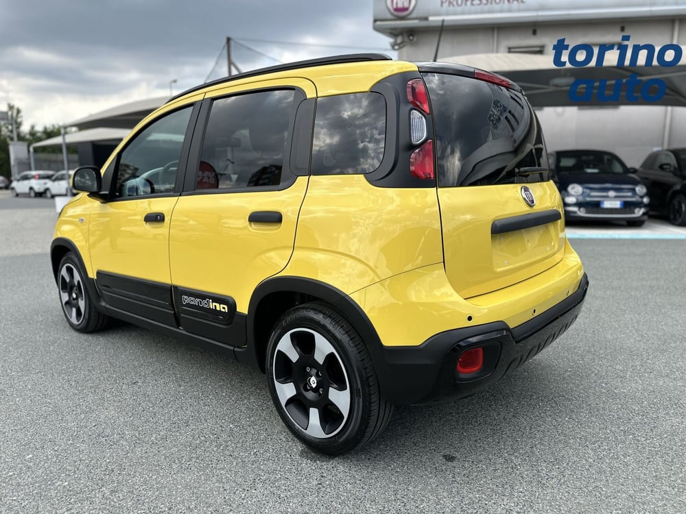 Fiat Panda Cross usata a Torino (5)