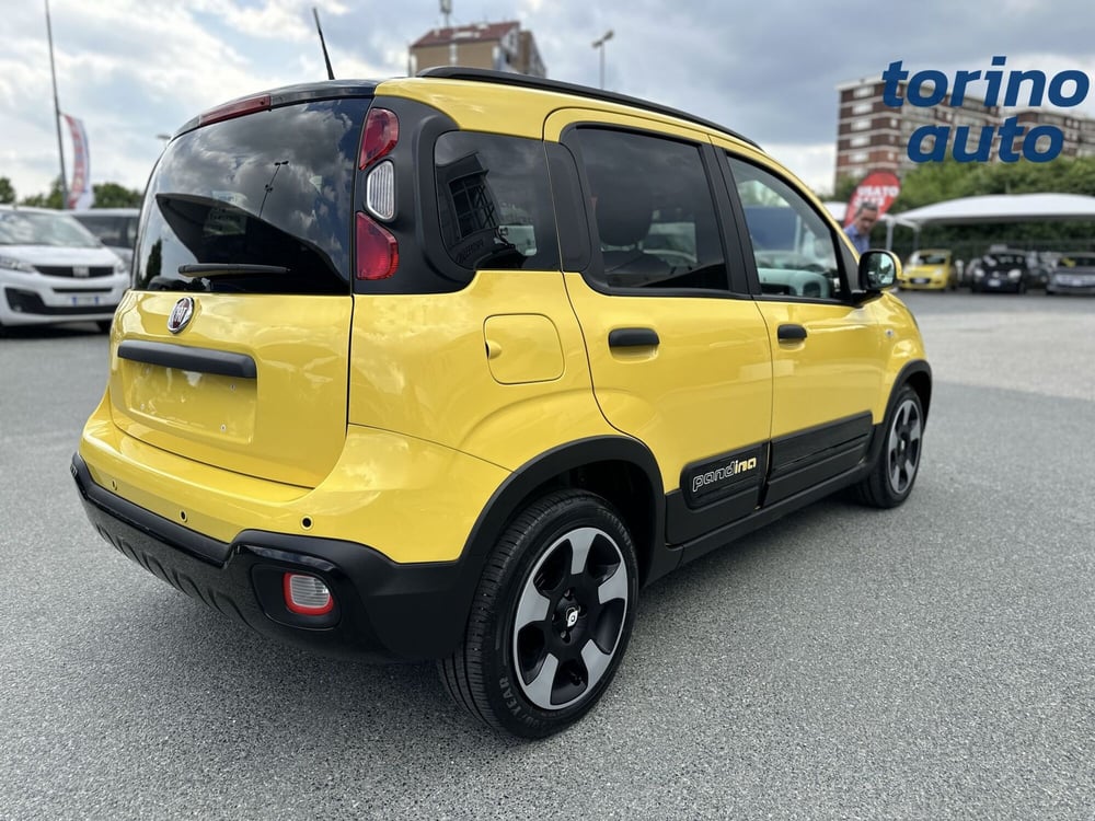 Fiat Panda Cross usata a Torino (7)