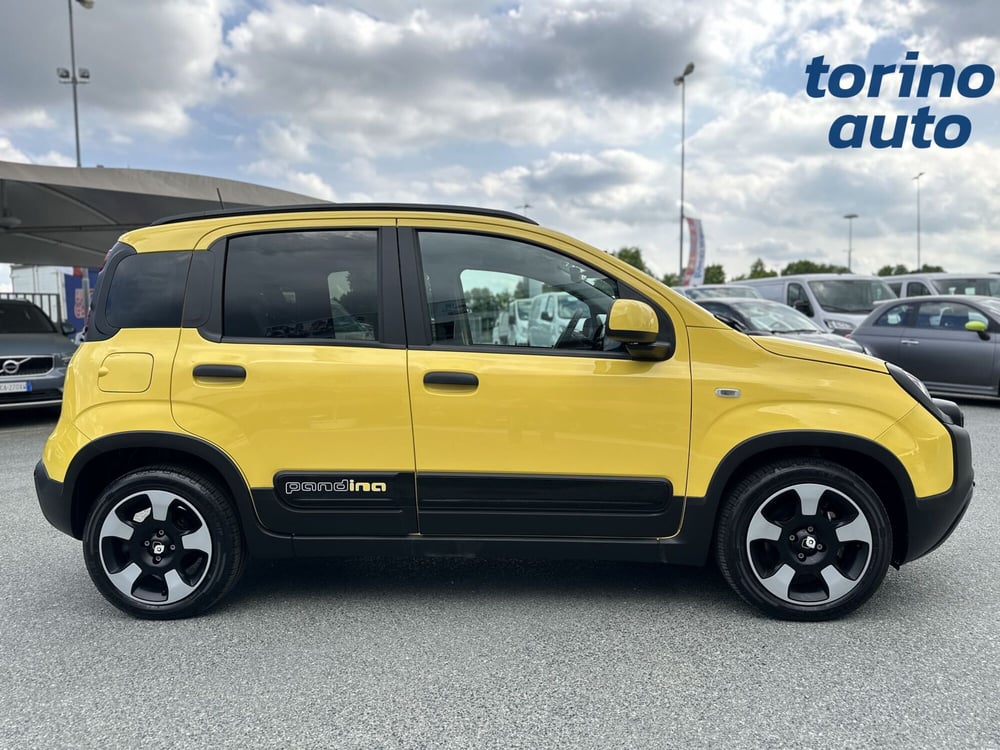 Fiat Panda Cross usata a Torino (8)