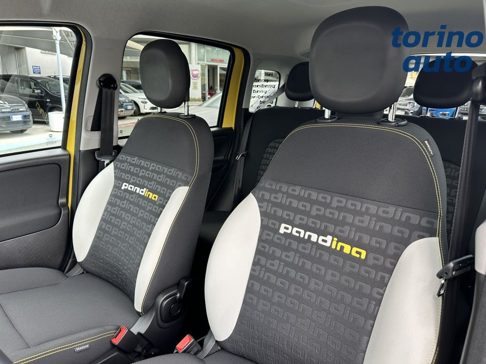 Fiat Panda Cross usata a Torino (9)