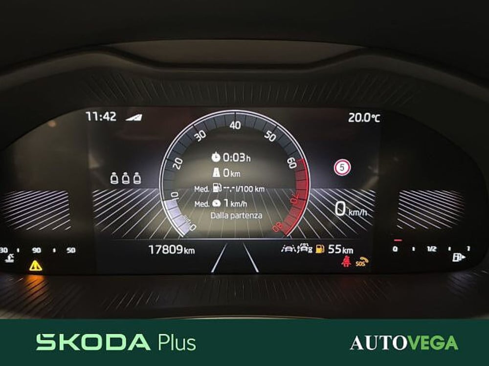 Skoda Kamiq usata a Vicenza (11)
