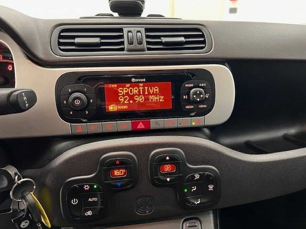 Fiat Panda Cross usata a Alessandria (14)
