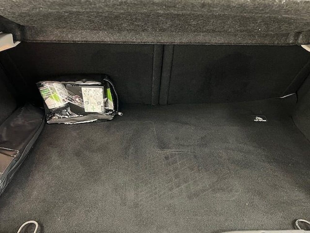 smart forfour usata a Alessandria (15)