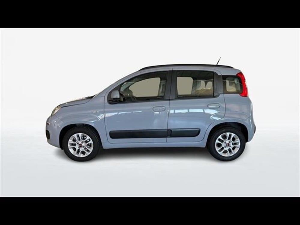 Fiat Panda usata a Firenze (2)
