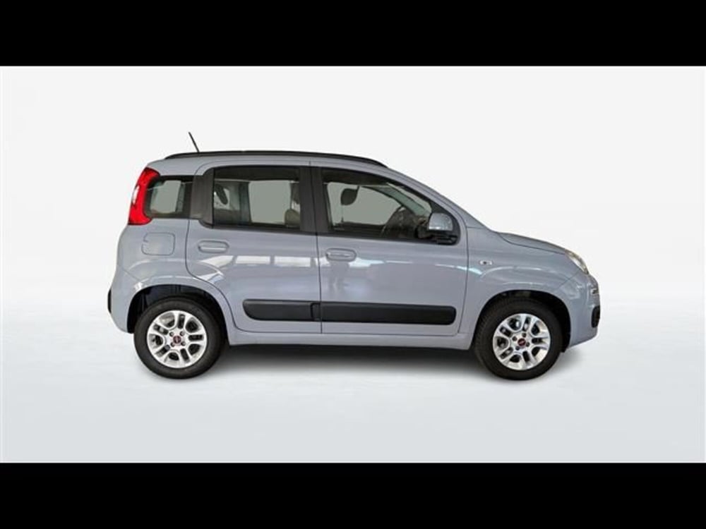 Fiat Panda usata a Firenze (4)