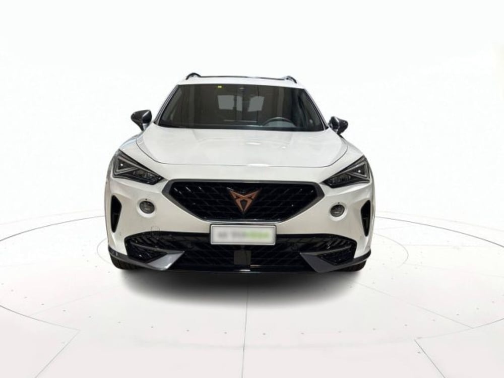 Cupra Formentor usata a Vicenza (2)