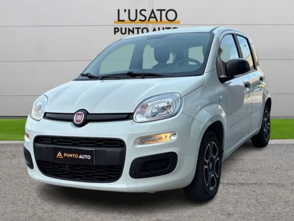 Fiat Panda usata a Ancona
