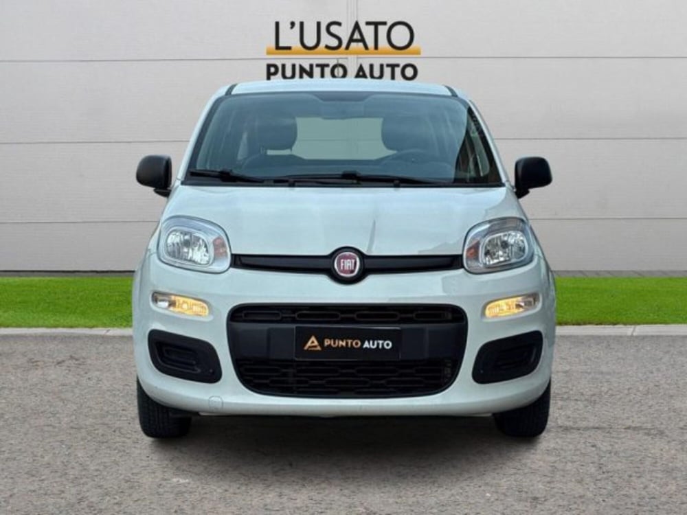 Fiat Panda usata a Ancona (2)