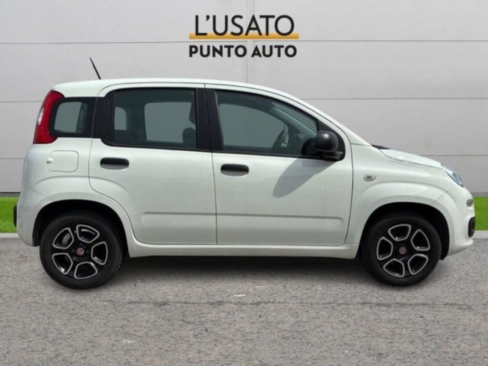 Fiat Panda usata a Ancona (3)