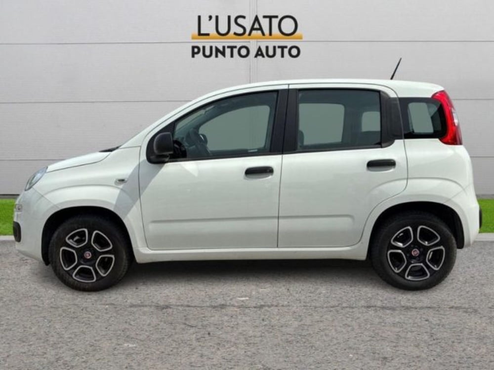 Fiat Panda usata a Ancona (4)