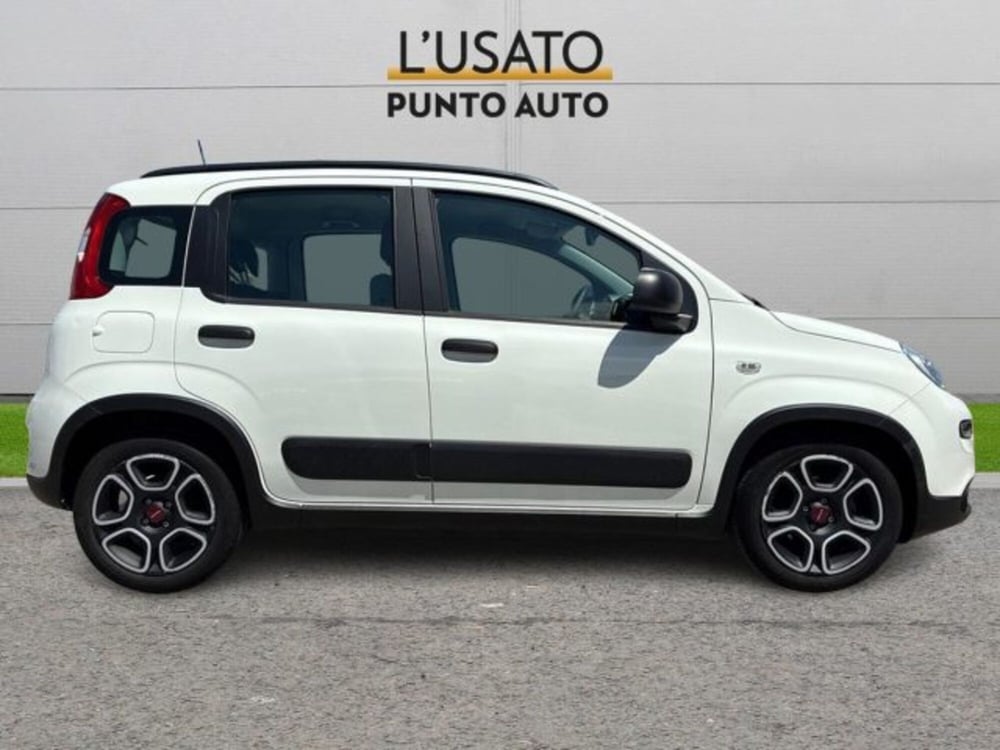 Fiat Panda usata a Ancona (3)