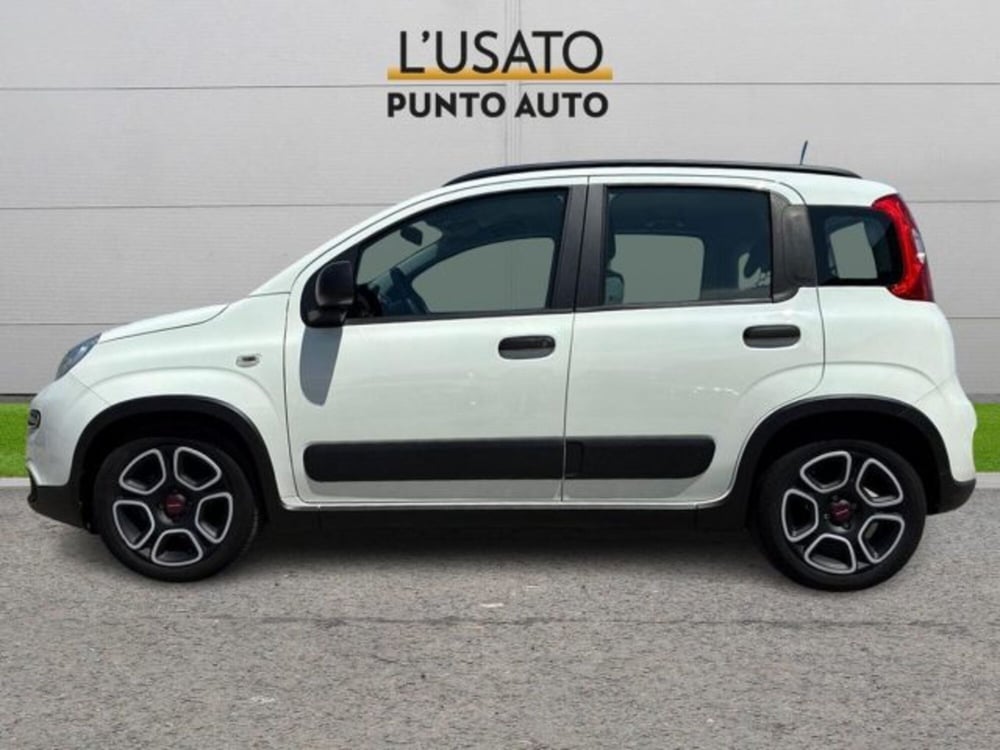 Fiat Panda usata a Ancona (4)
