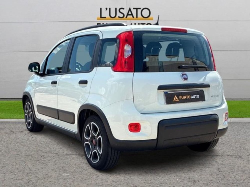 Fiat Panda usata a Ancona (5)