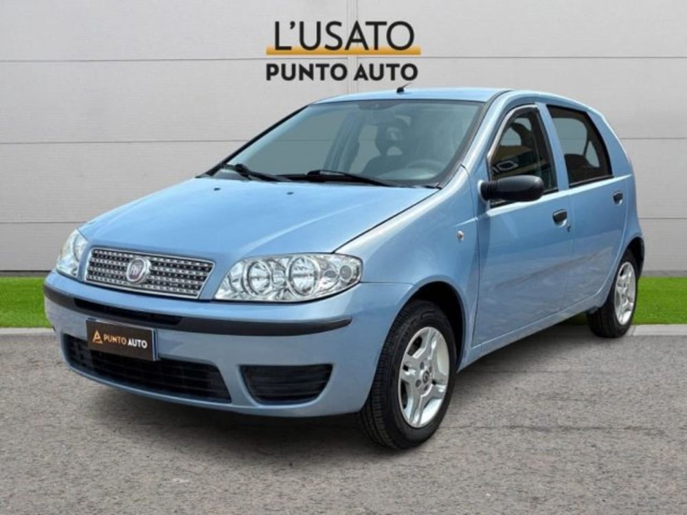 Fiat Punto usata a Ancona