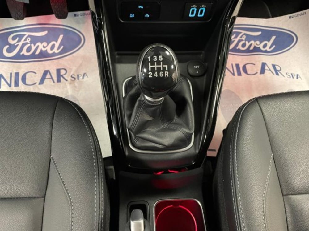 Ford EcoSport usata a Cuneo (12)