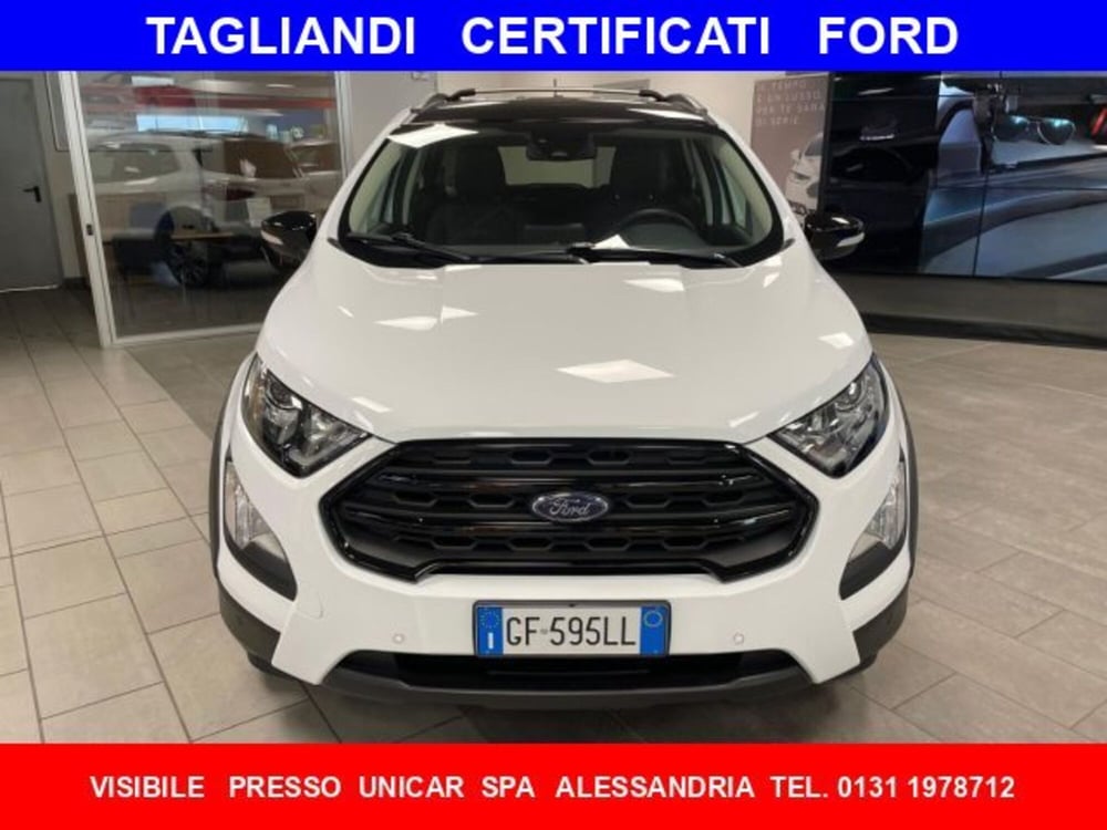 Ford EcoSport usata a Cuneo (2)
