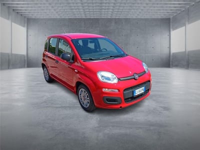 Fiat Panda 1.0 firefly hybrid s&amp;s 70cv 5p.ti del 2022 usata a Bari
