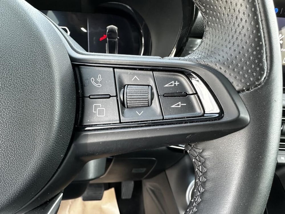 Alfa Romeo Tonale usata a Torino (11)