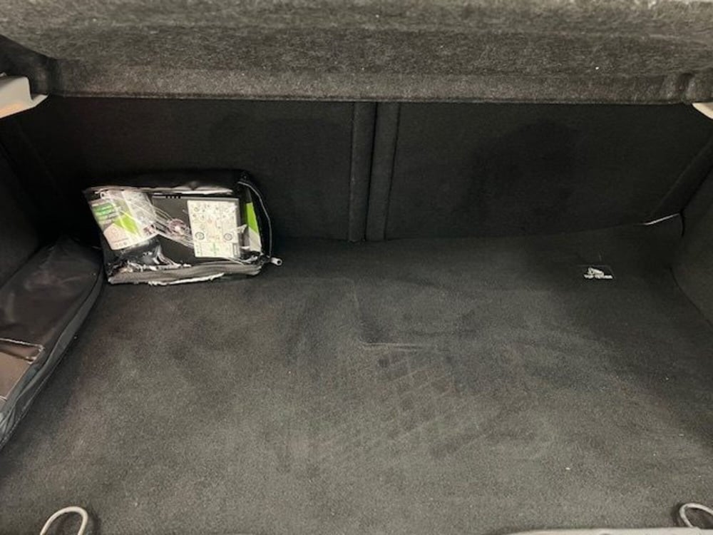 smart forfour usata a Alessandria (15)