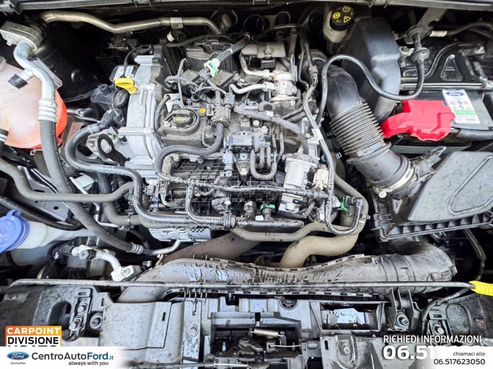 Ford Puma usata a Roma (11)