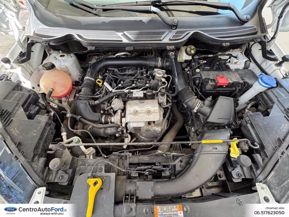 Ford EcoSport usata a Roma (11)