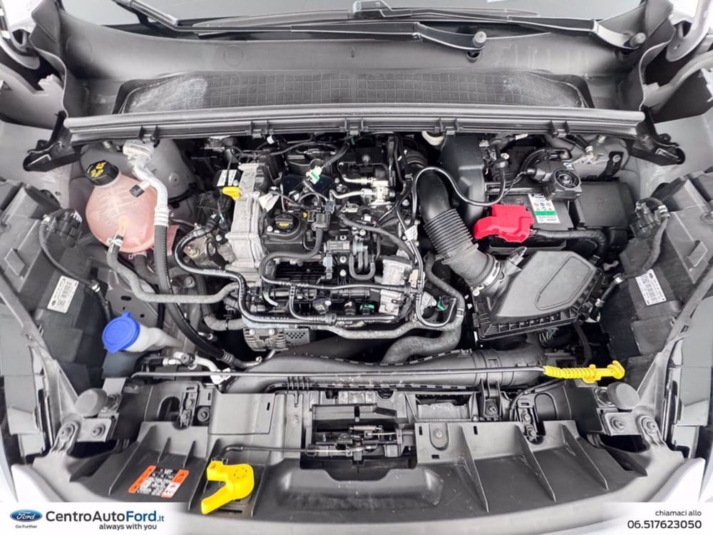 Ford Puma usata a Roma (12)