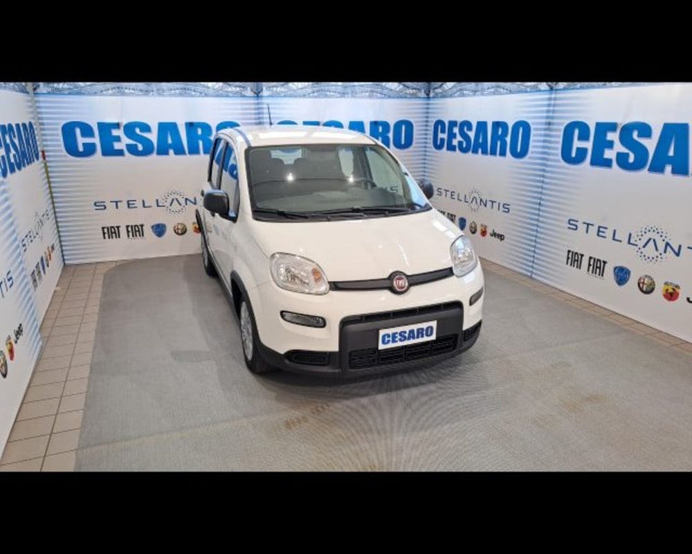 Fiat Panda usata a Aosta