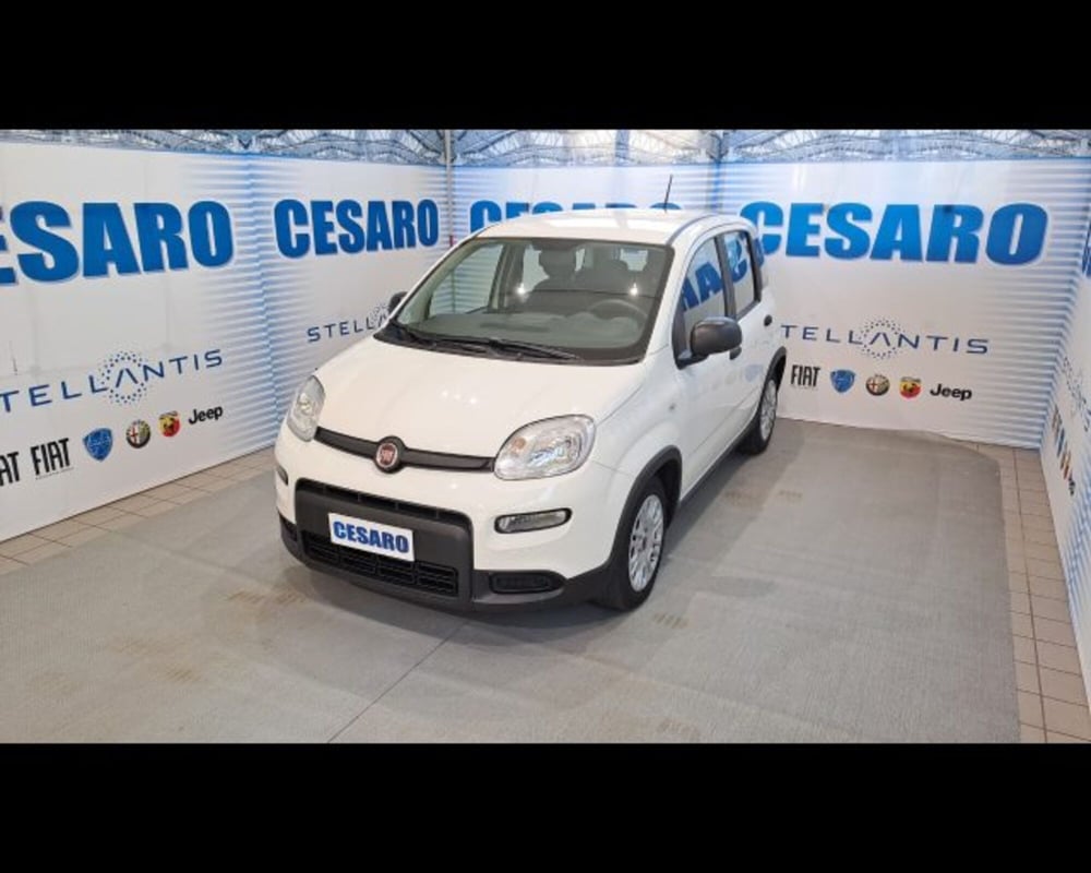 Fiat Panda usata a Aosta (2)