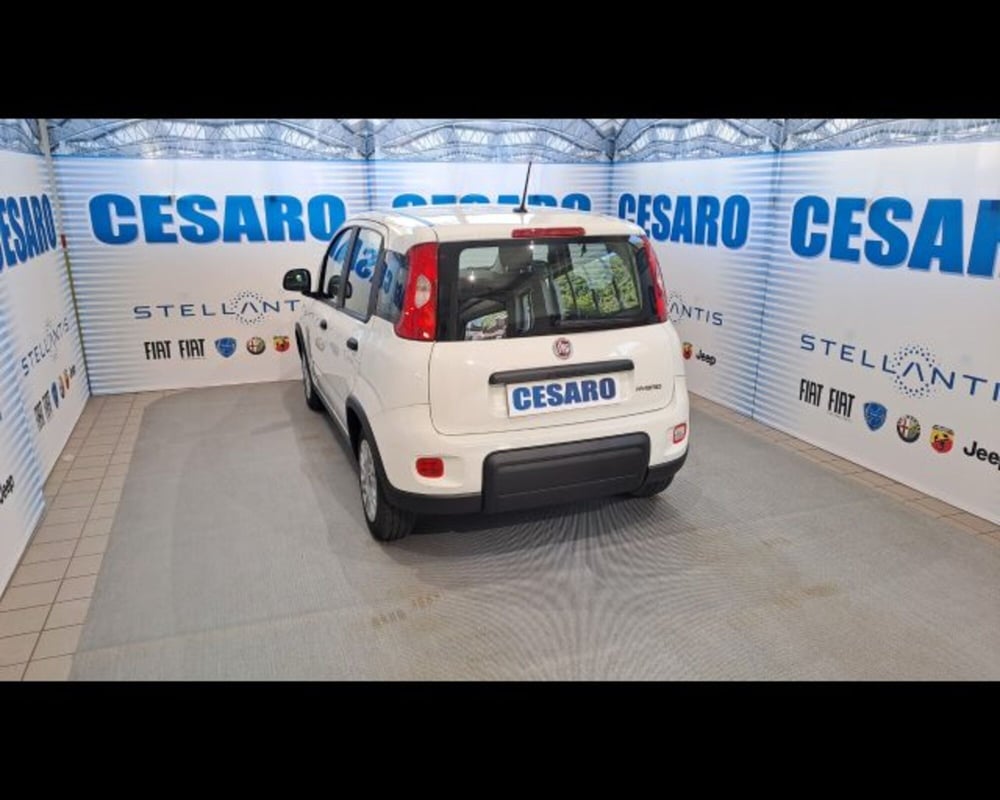 Fiat Panda usata a Aosta (3)