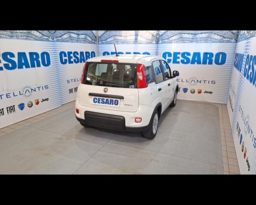 Fiat Panda usata a Aosta (4)
