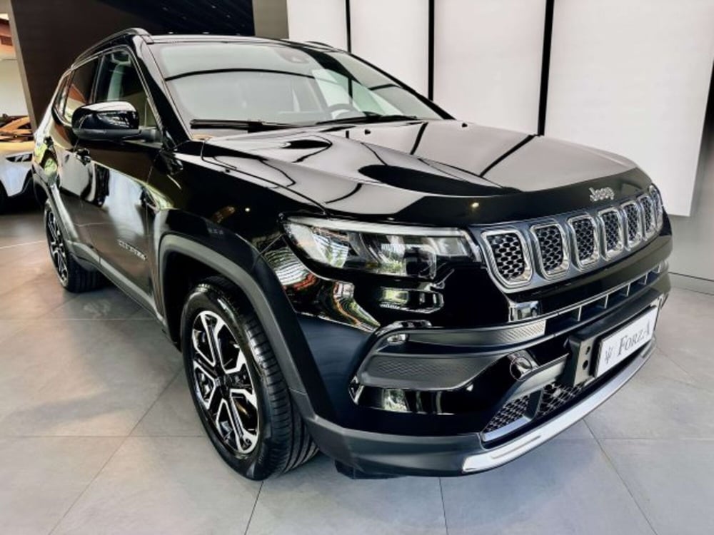 Jeep Compass usata a Torino (3)