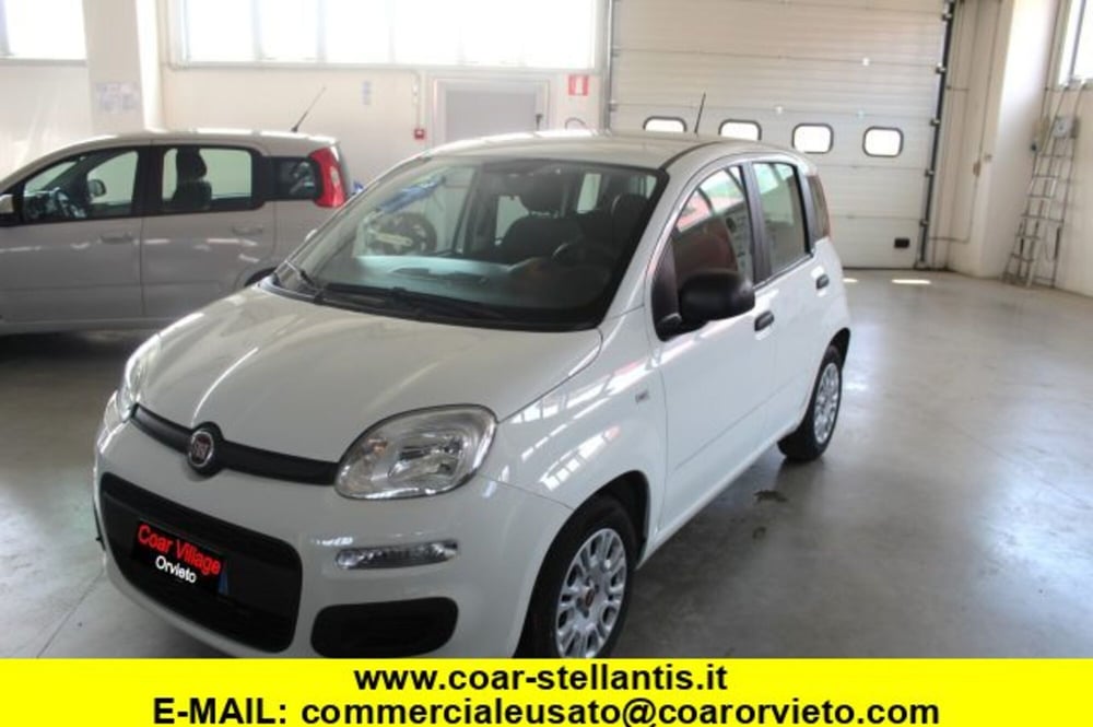Fiat Panda usata a Terni