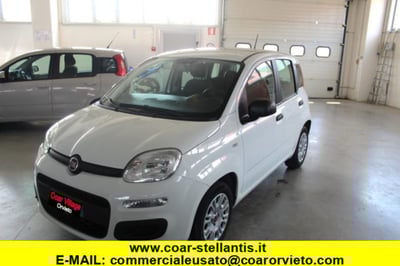 Fiat Panda 1.2 Easy del 2020 usata a Orvieto