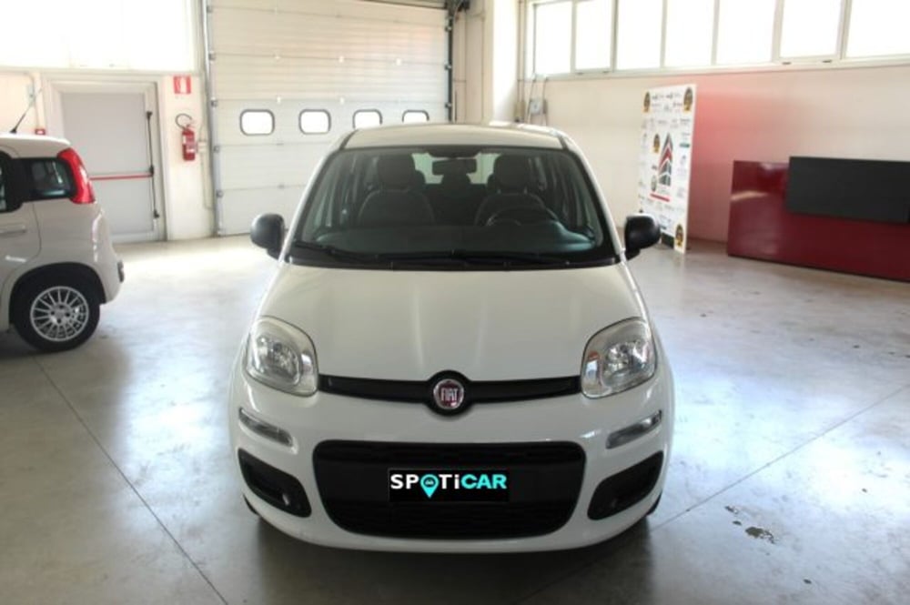 Fiat Panda usata a Terni (2)