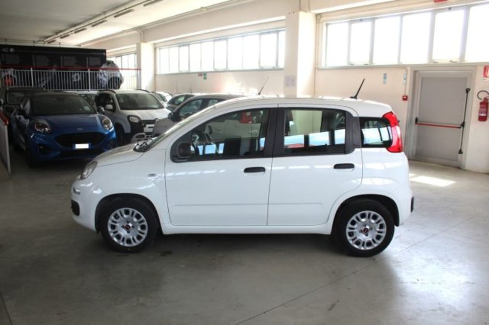 Fiat Panda usata a Terni (3)