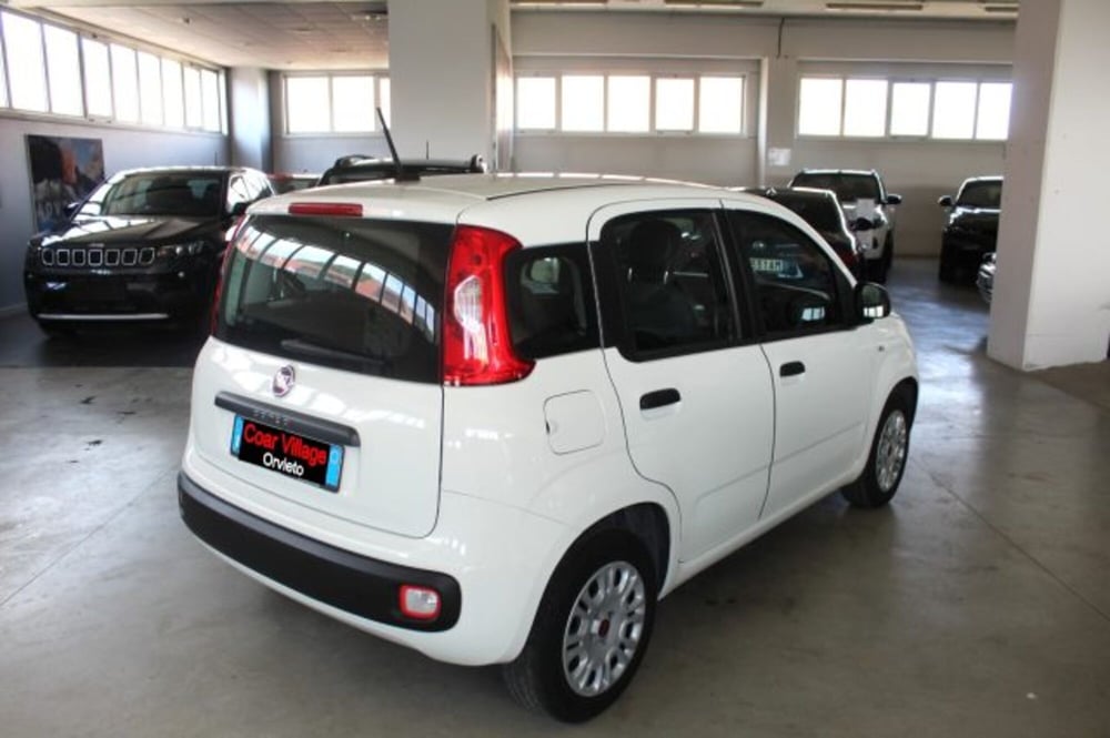 Fiat Panda usata a Terni (4)
