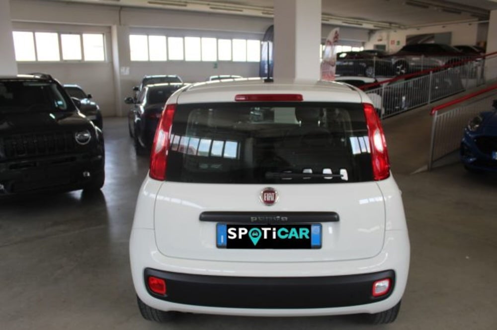 Fiat Panda usata a Terni (5)