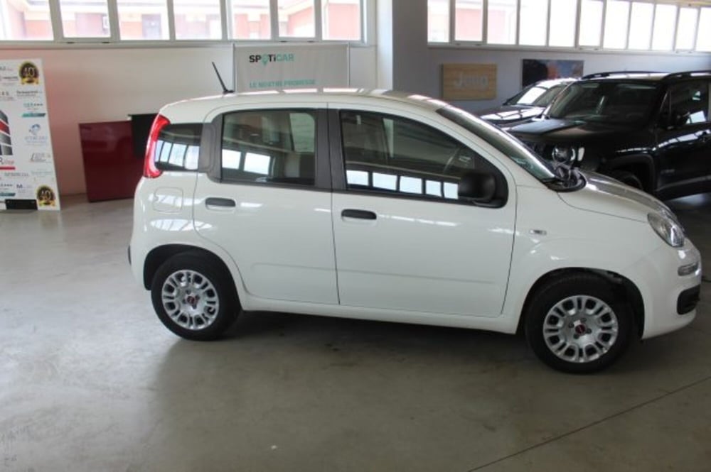 Fiat Panda usata a Terni (6)