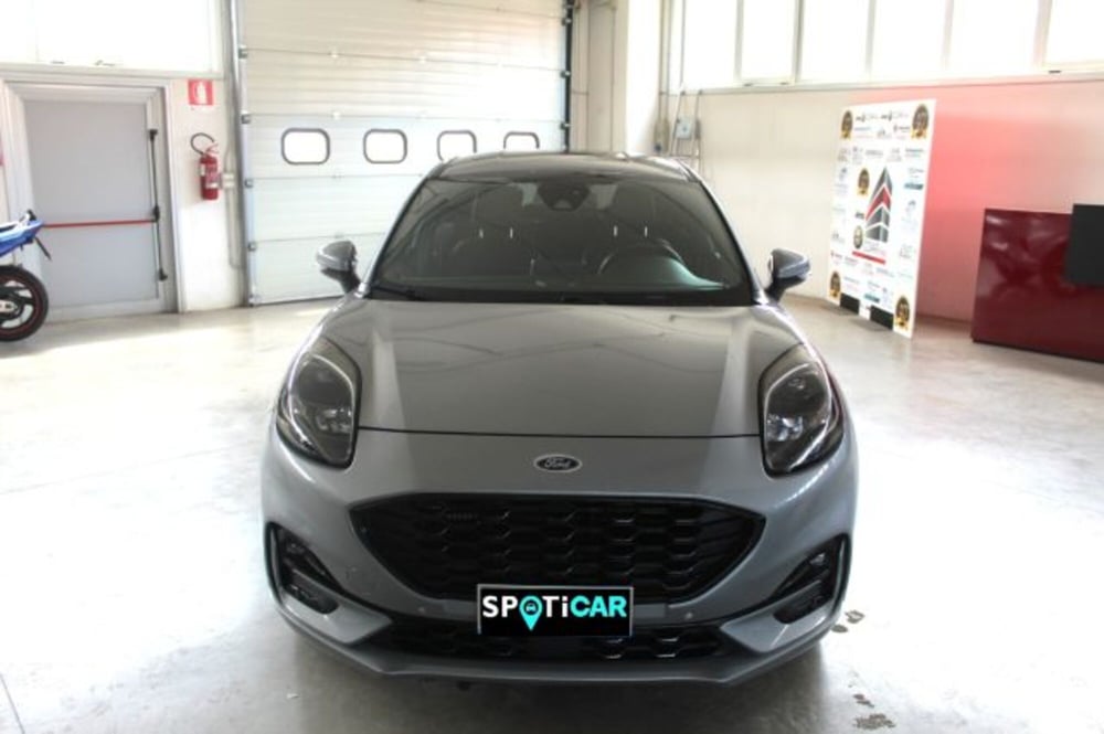 Ford Puma usata a Terni (2)