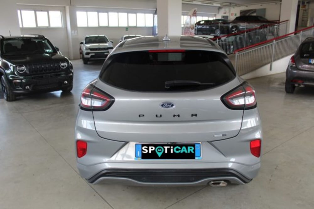 Ford Puma usata a Terni (5)
